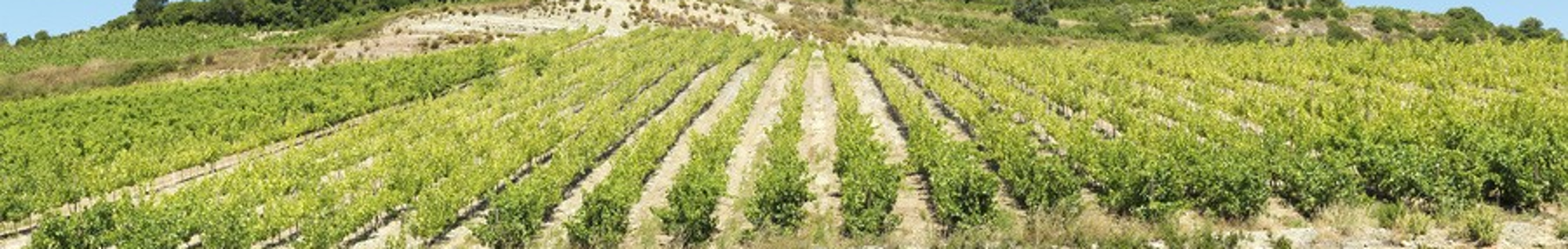 Quinta do Boição