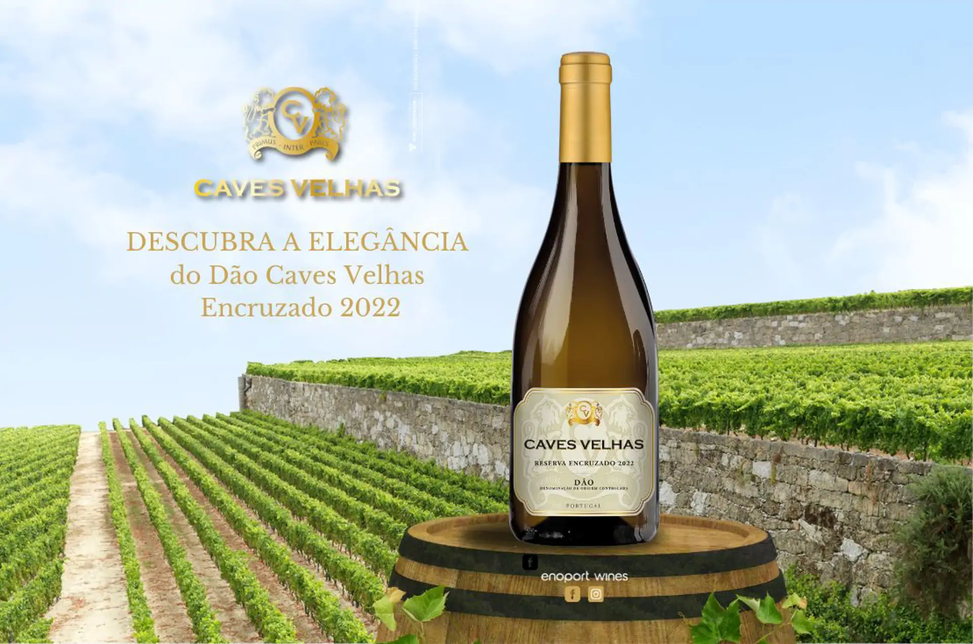 Caves Velhas Lança o Encruzado 2022 DOC Dão