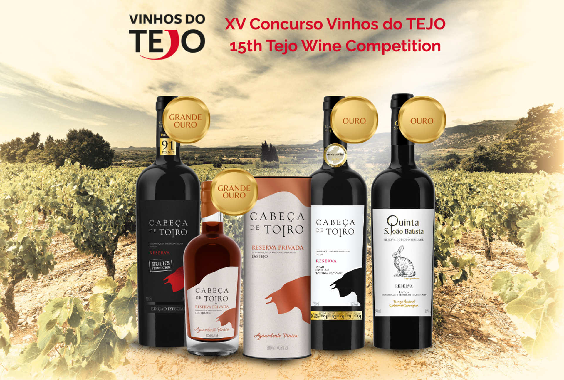 Vinhos Enoport distinguidos com 4 medalhas no Concurso de Vinhos do Tejo 2025 