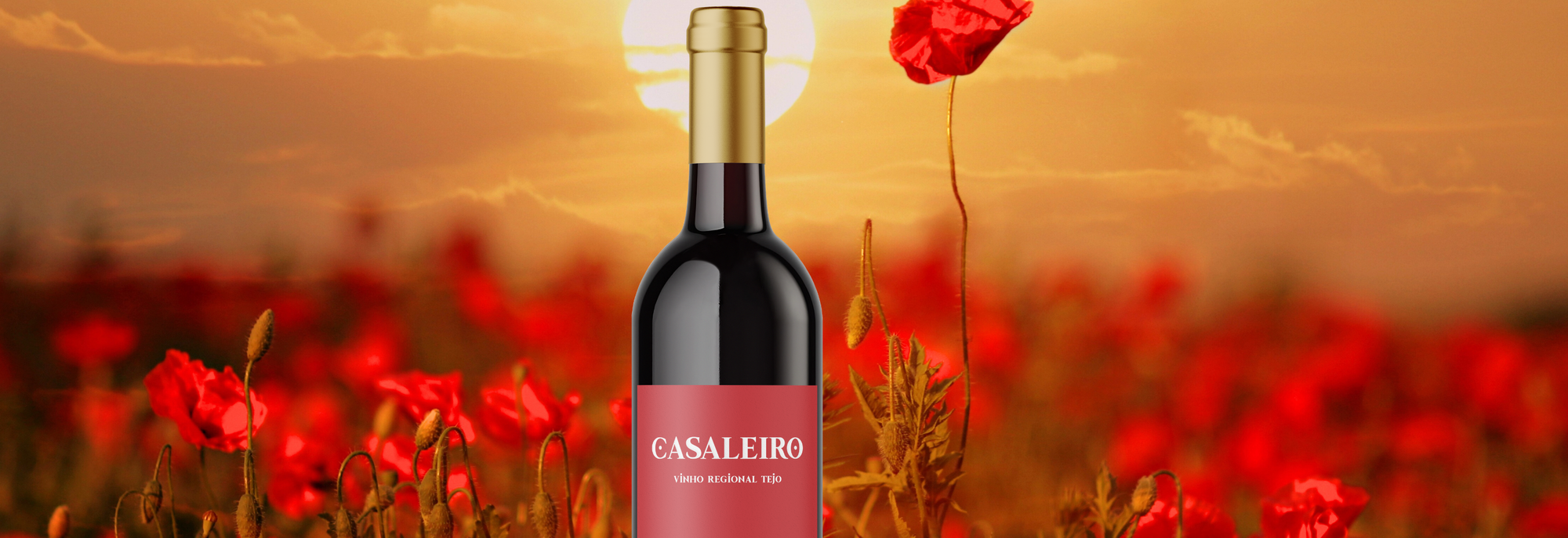 Casaleiro
