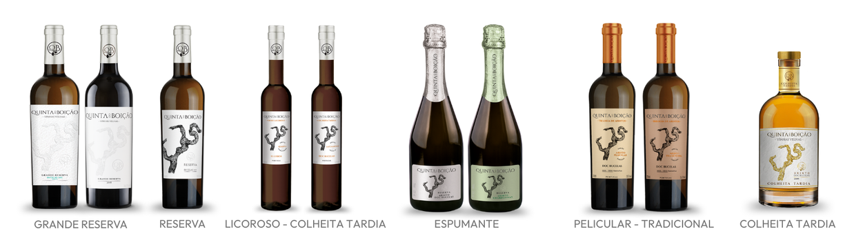 gamas-vinhos-site-enoport-qb.png